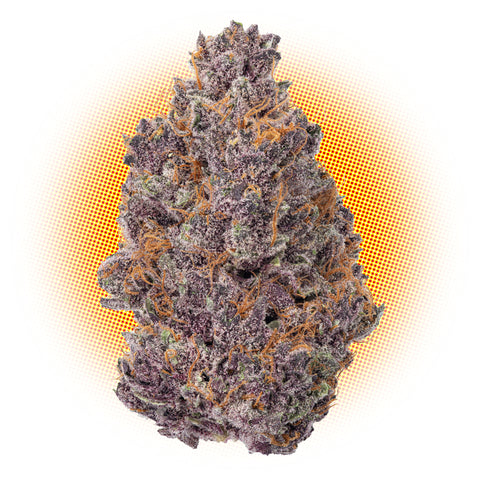 Tropicana Cherry Cookies - THCa Flower THCA: Flower Puff Club